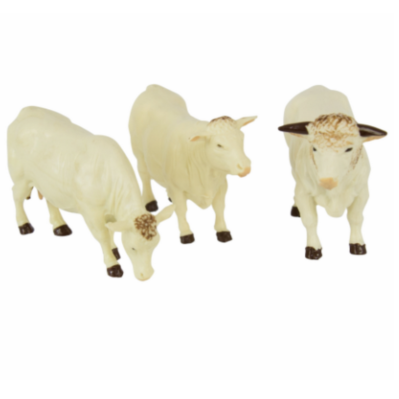 Britains Charolais Cows (pk of 3) mulveys.ie nationwide shipping