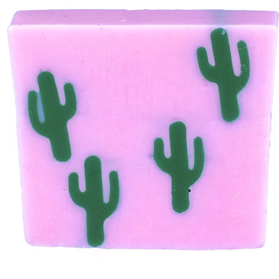 Cactus Makes Perfect Soap mulveys.ie nationwide shipping