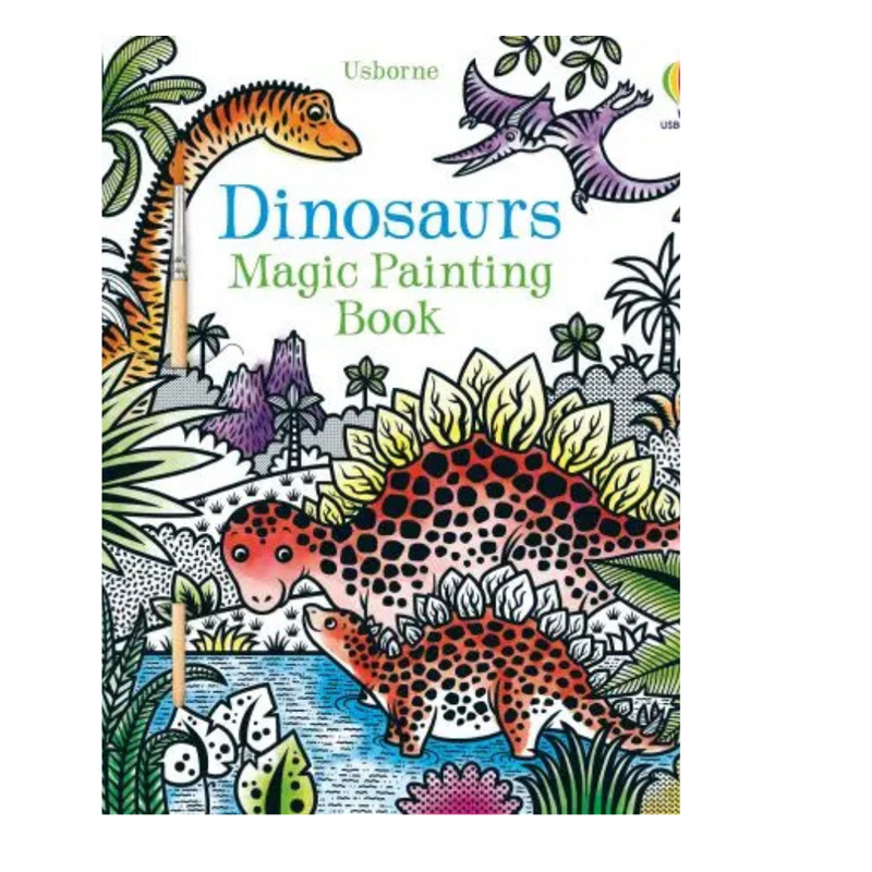 Dinosaur Magic Painting Book mulveys.ie nationwide shipping