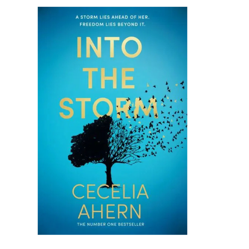 Into the Storm by Cecelia Ahern mulveys.ie nationwide shipping