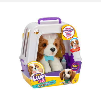 My Beagle puppy Little Live Pets mulveys.ie nationwide shipping