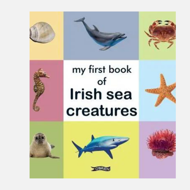 My first book of Irish Sea Creatures mulveys.ie nationwide shipping