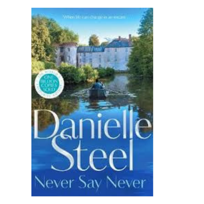 Never Say Never by Danielle Steel mulveys.ie nationwide shipping