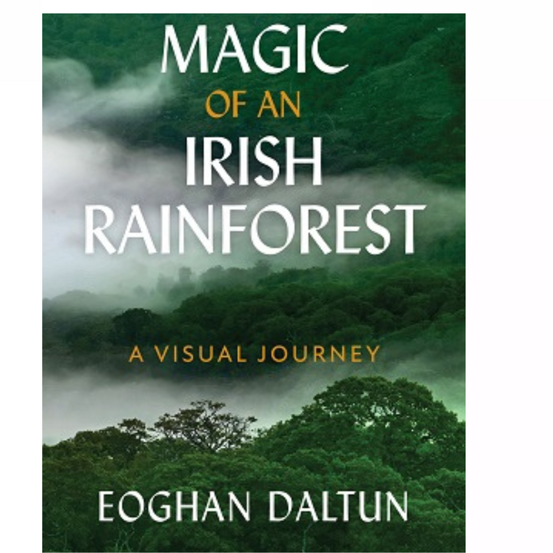 The Magic of an Irish Rainforest: mulveys.ie nationwide shipping