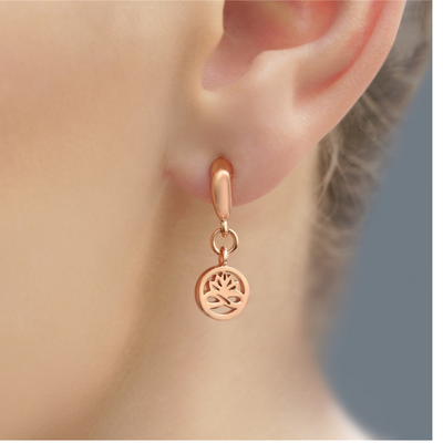 Newbridge Rose Gold Plated Stud Earrings mulveys.ie nationwide shipping