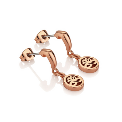 Newbridge Rose Gold Plated Stud Earrings mulveys.ie nationwide shipping