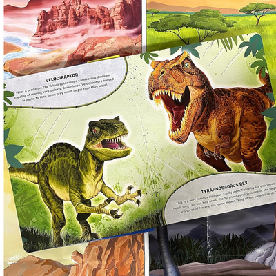  Phidal - Dinosaurs My Busy Book - 10 Figurines and a Playmat mulveys.ie nationwide shipping