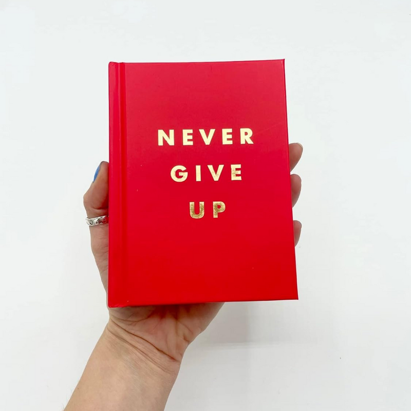 Never Give Up: Inspirational Quotes for Instant Motivation mulveys.ie nationwide shipping