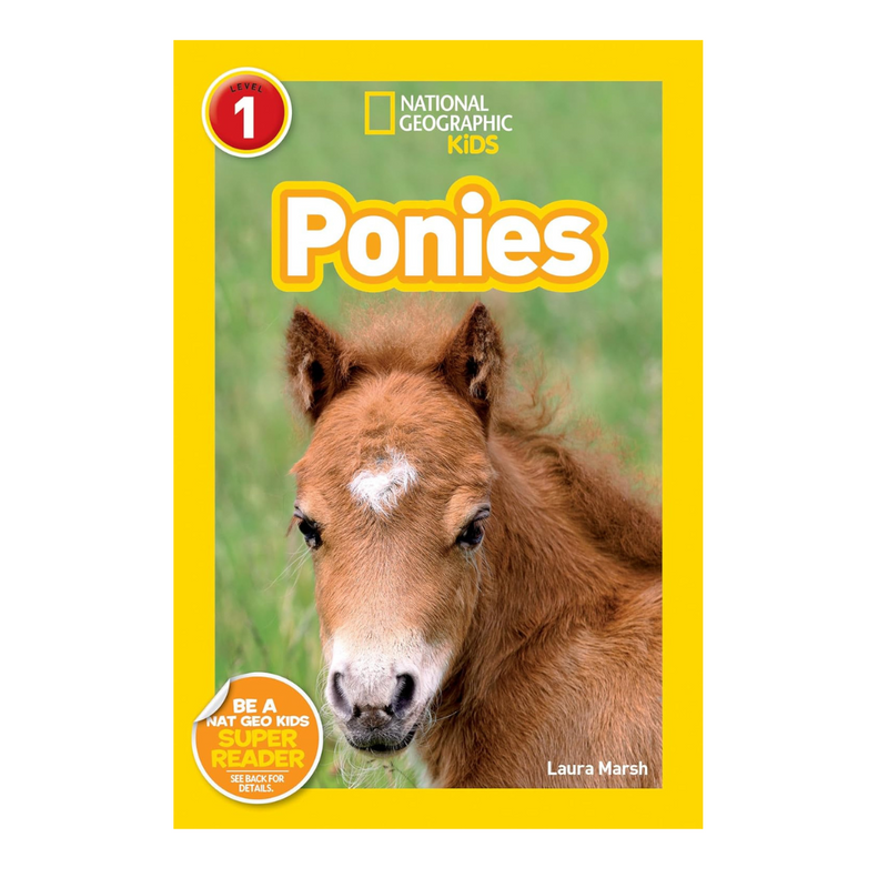 Ponies National Geo 1 mulveys.ie nationwide shipping