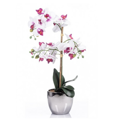 The Grange Collection Cerise Orchid in Silver Pot mulveys.ie nationwide shipping